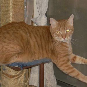 Meet your Posher, Sharon